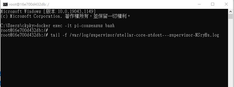 如何檢測自己節點狀況，包括同步狀況在cmd 輸入docker exec -it pi-consensus bash之後輸入下列，先按 Tab 鍵一下，再按下確定tail -f /var/log/supervisor/stellar-core-stdout