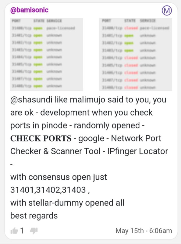 Stellar dummy端口检测容器（左图）Pi Consensus共识容器（右图）Ipfingerprints和其他第三方端口检测网址是检测动用端口的网址，目前共识容器只动用31401-31403端口